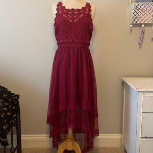 NWT! Francesca’s Collection Hi-lo lace dress